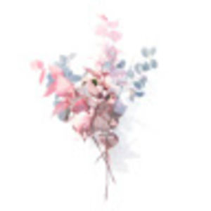 Meet your Posher, Samiha